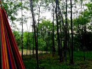 House for sale in a resort district of Kutaisi, Georgia. Near the river. Natural spring. Photo 5