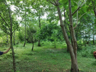 მიწის ნაკვეთი კურორტულ ზონაში ქობულეთში, საქართველო. იყიდება მიწა ისტორიულ და საკურორტო ზონაში. მდინარესთან. ფოტო 6