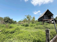Three houses and a plot of land for sale in the vicinity of Kobuleti, Georgia. Photo 8