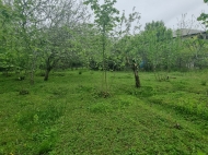 Urgent sale of land in Supsa, Georgia. Photo 4