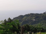 Land parcel for sale in Sarpi, Georgia. Ground area with sea view. Photo 4