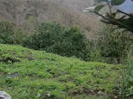 House for sale in a resort district of Chakvi, Georgia. Tangerine garden. Sea view. Photo 8