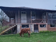 Купить частный дом с земельным участком в Абаша, Грузия. Фото 10