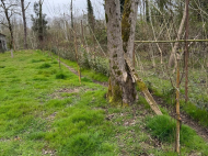 Ground area (A plot of land) for sale at the seaside of Shekvetili. House by the sea for sale in Shekvetili, Georgia. Photo 2