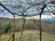 ყიდვა კერძო სახლის მიწის ნაკვეთით ზესტაფონი, საქართველო. ხილის ბაღი. ვენახი. ფოტო 10