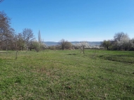 Land parcel, Ground for sale in the suburbs of Tbilisi, Mukhrani. Photo 1