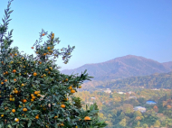 Продается частный дом в Бобоквати, Грузия. Вид на море. Фото 9