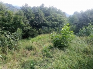 Land for sale in the village of Khelvachauri, Adjara, Georgia. Photo 5
