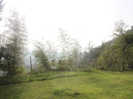 Land parcel, Ground area for sale in a resort district of Chakvi, Georgia. Photo 2