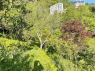 Land parcel, Ground area for sale at the seaside of Kvariati, Georgia. Sea view. Photo 3