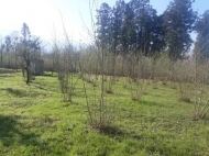 Land parcel, Ground area for sale in Mukhaestate, Georgia. Photo 2
