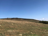 A plot of land for sale in the suburbs of Tbilisi. Photo 4