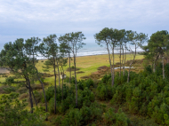 Land parcel, Ground area on the Black Sea coast in Ureki. Land parcel, Ground area for sale in Ureki, Georgia. Photo 2