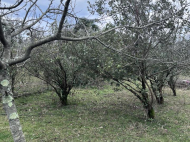 Купить частный дом с земельным участком в пригороде Супса, Грузия. Фото 3