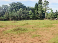 A plot of land is for sale in Laituri, Guria, Georgia. Photo 2