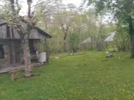 House for sale with a plot of land in Ozurgeti, Georgia. Photo 2