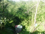 Земельный участок в Батуми с мандариновым садом Фото 1