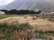 Land parcel for sale in Kazbegi. Ground area for sale in Stepantsminda, Georgia. Land with mountains view. Photo 4