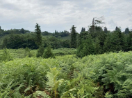 Land parcel for sale in Ozurgeti, Georgia. Photo 4