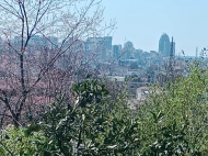 იყიდება კერძო სახლი ზღვის ხედით.  ბათუმი. საქართველო. ფოტო 19