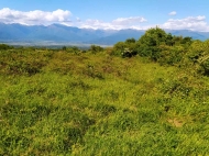 Land for sale in Kakheti, Georgia. Photo 2