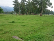 Земельный участок в тихом районе. Хелвачаури, Батуми, Грузия. Фото 3