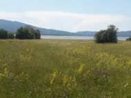 Продается земельный участок недалеко от озера Шаори Инвестиционная Рача. Грузия. Фото 4