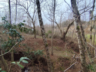 Продается частный дом с земельным участком в Шрома, Грузия. Фото 25