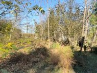 House for sale with a plot of land in Ozurgeti, Georgia. Orchard. Walnut garden. Natural spring. Photo 5