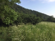 Land for sale in Kvareli, Kakheti, Georgia. Photo 1