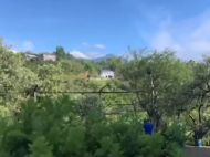 House for sale with a beautiful view in the village of Gorgadzeebi, Adjara, Georgia. Photo 4