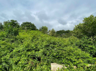 Land parcel, Ground area for sale in a resort district of Chakvi, Sachino. Photo 4