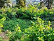 Ground area for sale at the seaside of Makhinjauri, Georgia. Land with sea view. Photo 3