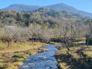 Купить частный дом в курортном районе Чакви, Чаисубани. У реки. Фото 5