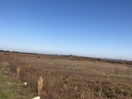 Ground area ( A plot of land ) for sale in Natanebi, Ozurgeti, Georgia.  Land with mountains view.     Photo 3