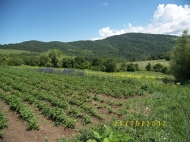 Sold a ready farm with a plot of 15 hectares Photo 3