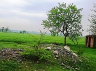 Продается земельный участок с фермой в пригороде Зестафони, Грузия. Действующий бизнес. Фото 4