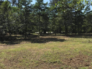 Land parcel, Ground area on the Black Sea coast in Ureki. Land parcel, Ground area for sale in Ureki, Georgia. Photo 10