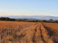 Продается земельный участок в Кутаиси, Грузия. Фото 1