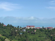 Land parcel, Ground area for sale in the suburbs of Batumi. Saliʙauri. Land with sea view. Photo 4