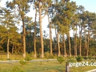 Land plot on the Black Sea coast in Kobuleti, Georgia. Beneficial for investment projects. Photo 4