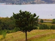A plot of land for sale in the suburbs of Tbilisi, Tbilisi Reservoir. Photo 4
