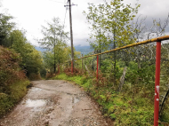 Продается земельный участок в пригороде Батуми. Тхилнари. Фото 3