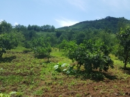 Земельный участок в пригороде Батуми. Участок с видом на море и горы в Ахалсопели, Грузия. Фото 1