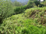 House for sale with a plot of land in the suburbs of Batumi, Ortabatumi. Photo 18