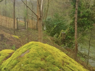 Buy a house by the river near Ozurgeti, Georgia. Forested area, resort area, very beautiful location. Photo 5