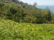Продается земельный участок с прекрасным видом на город, Батуми, Аджария, Грузия. Фото 6