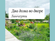 Продаются два дома на одном земельном участке. Ланчхути, Грузия. Фото 2