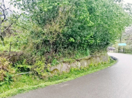 House for sale with a plot of  land and fruit garden (tangerine garden) in Khelvachauri, Georgia. Photo 7