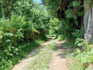 Land parcel, Ground area for sale at the seaside of Tsikhisdziri, Georgia. Land with sea view. Photo 2